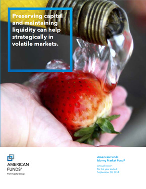 Capital Group Annual Report